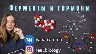 Ферменты и гормоны