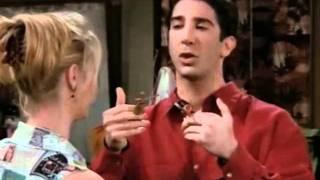 Phoebe & Ross Fight : Evolution