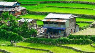 Rural Nepal and Natural Lifestyle | Traditional Village Life | Nepali Village | Village Nepal Life