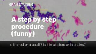 Gram Staining video, microbiology project.