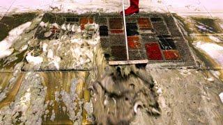 Full of muck dirty shaggy carpet cleaning satisfying ASMR