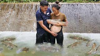 The Couple Went Fishing And Brought Fish Back To The Village To Sell For A Living - Lý Thị Nhâm