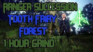 BDO - Succ Ranger PvE l Tooth Fairy Forest