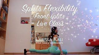 Splits Flexibility • Front Splits | full class | IG live class