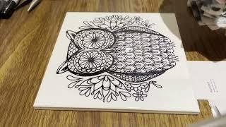 Laser Tiles owl test