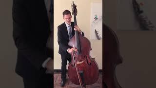 Bartok (snap) Pizzicato on the double bass (upright bass)