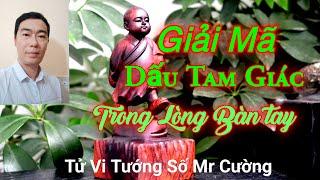 Giải Mã Vị Trí Chỉ Tay Tam Giác Trong Lòng Bàn Tay Bạn.