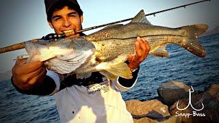 Pesca De Orilla, Robalos, Pargos Y Coconacos