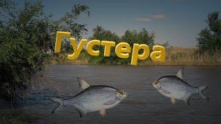 "Мутант" Густера Русская рыбалка 3