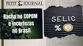 Petit Invest 29 - Racha no COPOM e incerteza no Brasil