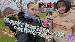 XXXL Silvester Vlog 2024 - 2025 / Part 1 Funke, Iskra, Argento, Volt