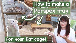 How to make a DIY perspex tray for your Rat cage