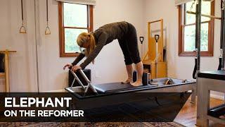 Pilates Technique: Elephant on the Reformer