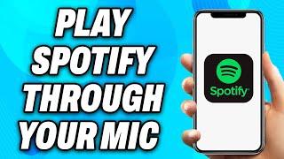 How To Play Spotify Through Your MIC (2024) - Easy Fix