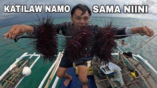 NANGUHA KAMI NG IBANG KLASING SEA URCHIN