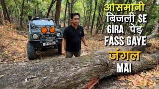 आसमानी बिजली Se Gira पेड़ Fass Gaye जंगल mai