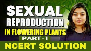 Sexual Reproduction In Flowering Plants | Class 12 Biology | NCERT Solution