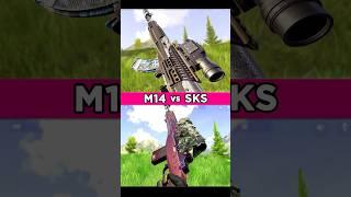 Which Carbine is Better?