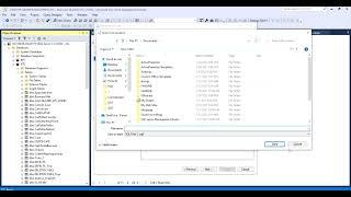 Generate script file in Microsoft Sql server 2019 (tables schema and data)