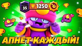 АПНЕТ КАЖДЫЙ! КАК ЛЕГКО АПНУТЬ ДЖИНА НА 35 РАНГ В СОЛО ШД / BRAWL STARS