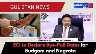 ECI Set to Roll Out Bye-Election Dates for Budgam and Nagrota in Jammu and Kashmir