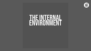 The Internal Environment