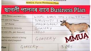 Goatery Business Plan Form Fill Up // ছাগলী পালনৰ বাবে Business Plan // MMUA