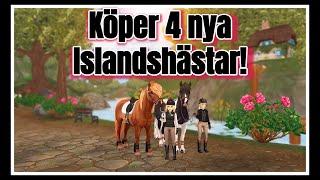 Onsdagsuppdatering - Köper 4 nya Islandshästar!