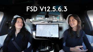 Can We Trust AI? Best Friends Test Tesla's Full Self-Driving V12.5.6.3