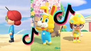 animal crossing tik tok memes that made made bunny day go away