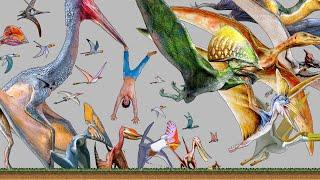 Flying Dinosaurs Size Comparison | Pterosaurs | King of the Skies