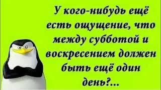 приколы из жизни | демотиваторы | смех | юмор #67