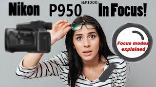 Nikon P950: Focus modes explained