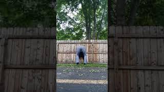 Headstand practice at Unity today