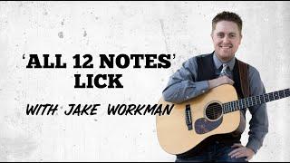 All 12 Notes Lick with Jake Workman (Blog Post #5 - Country Guitar Players)