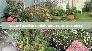 Mini garden updates and learnings!