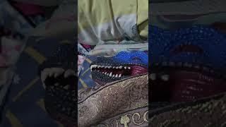 blue raptor, too deep sleep #dinosaurs #blueraptor #velociraptor #shorts #viral