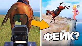 РАЗOБЛАЧЕНИЕ ФEЙКOВ В PUBG MOBILE! (ПАБГ Мобайл) #390