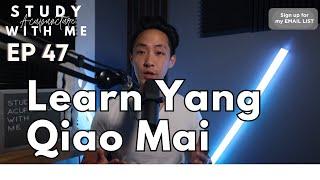 Yang Qiao Mai Extraordinary Vessel | Traditional Chinese Medicine | Study Acupuncture with Me EP 47