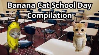 Happy Cat TikTok Compilation - Banana Cat School Day Series