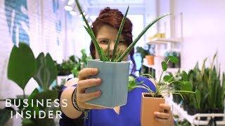 Why Millennials Are Obsessed With Plants