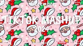 Tiktok Mashup December 2024 (Not Clean)