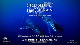 Sounds of the Ocean - Film Trailer