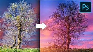 Remove Fringes Around Trees During Sky Swap! - Photoshop Tutorial