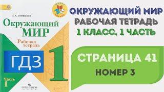 Окружающий мир. Рабочая тетрадь 1 класс 1 часть. ГДЗ стр. 41 №3