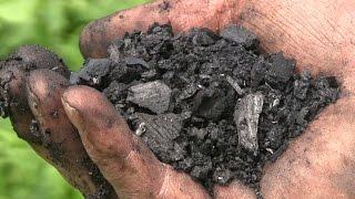 Biochar Workshop Part 1, How to Make Biochar