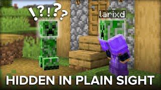 20 Things That Go Unnoticed in Minecraft