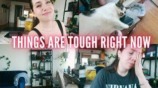 things are tough right now (an author week in my life vlog)