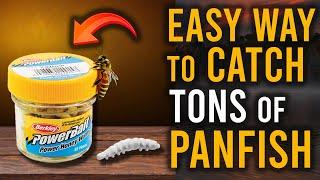 EASY Way to Catch TONS of PANFISH!