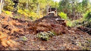 In the Forest with Dozer [Forest ROAD Construction] Road JOINING New Road Construction Caterpillar